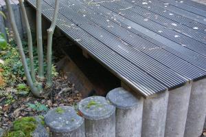 Ausweichsitz RLP Alzey 038
