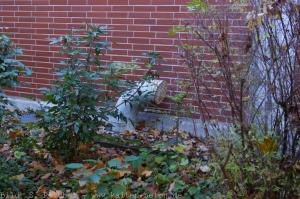 Ausweichsitz RLP Alzey 039