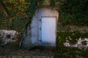 Ausweichsitz RLP Alzey 042