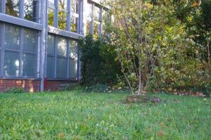 Ausweichsitz RLP Alzey 047