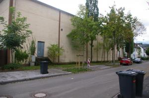 IMGP5211